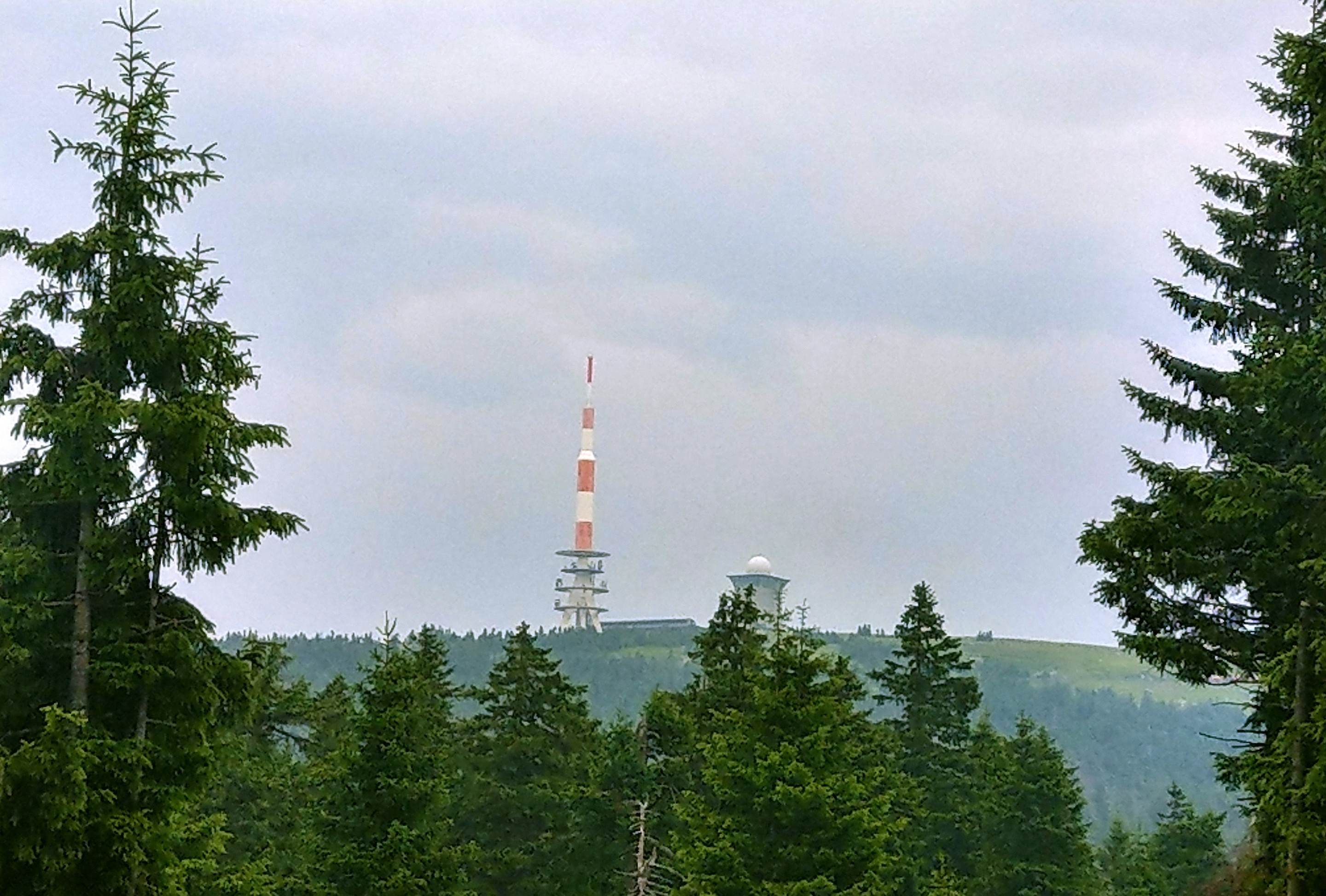 Blick auf den Brocken im Harz mit Fichtenwald